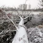 Kreislauf der Natur