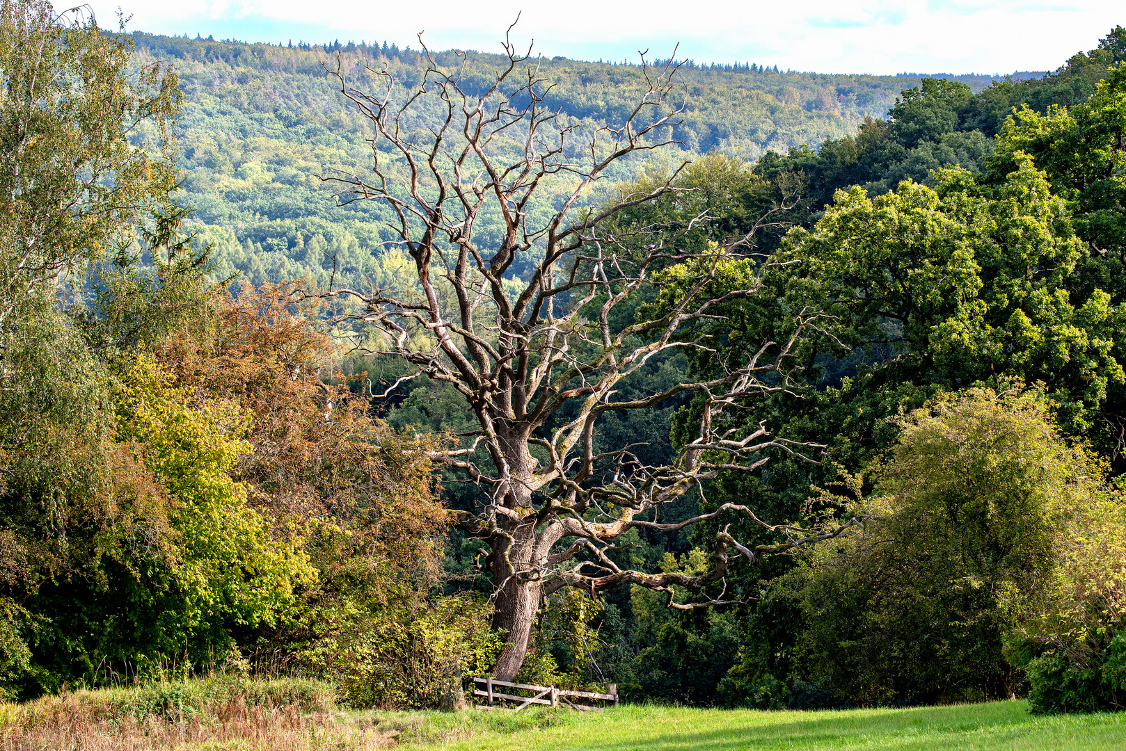  Kreislauf der Natur