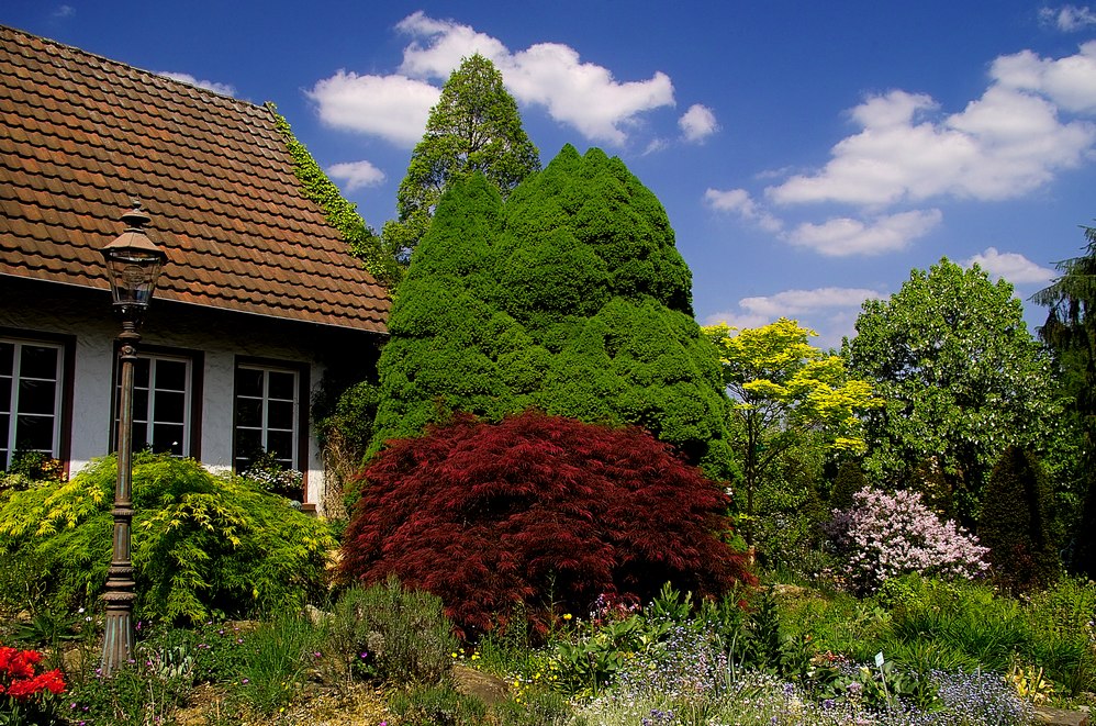 .... Kreislehrgarten in Burgsteinfurt ....