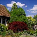 .... Kreislehrgarten in Burgsteinfurt ....