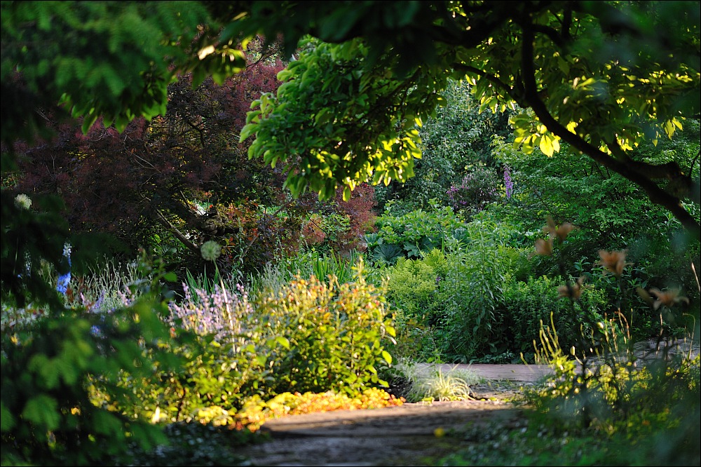 Kreislehrgarten Steinfurt III