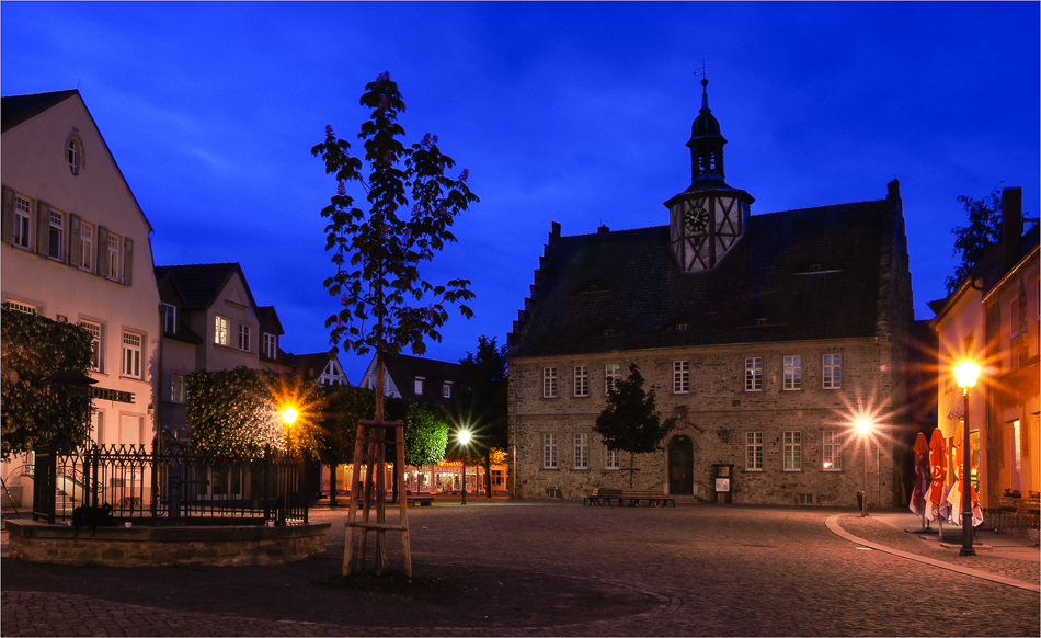 Kreismuseum Schönebeck/Elbe