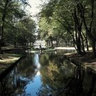 Kreisverkehr im Hofgarten Bayreuth  