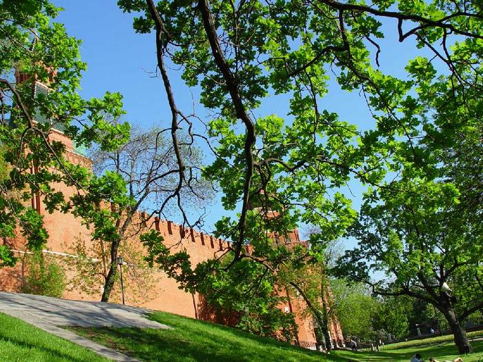 Kremlin walls