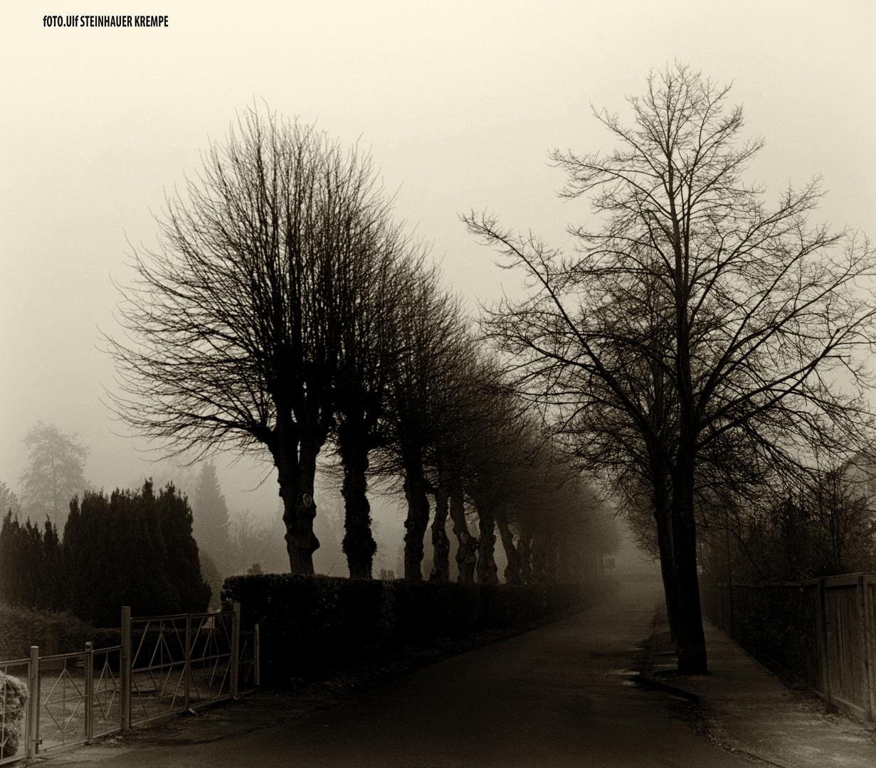 Krempe Birkenweg Am Friedhof