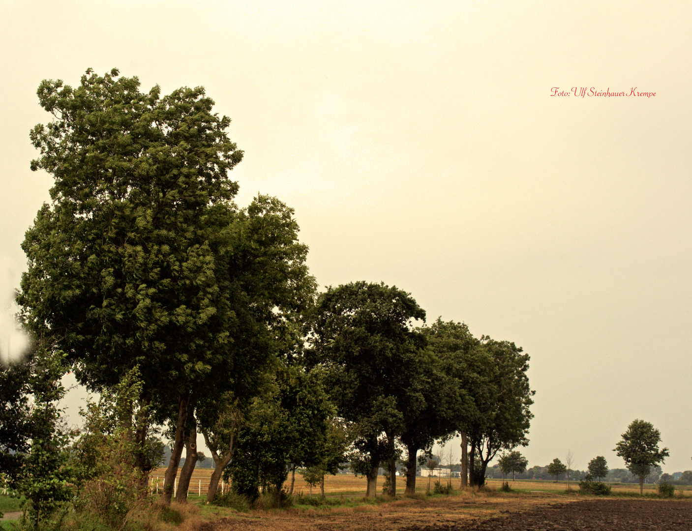 Krempe Grevenkop Foto & Bild natur, landschaft, äcker Bilder auf