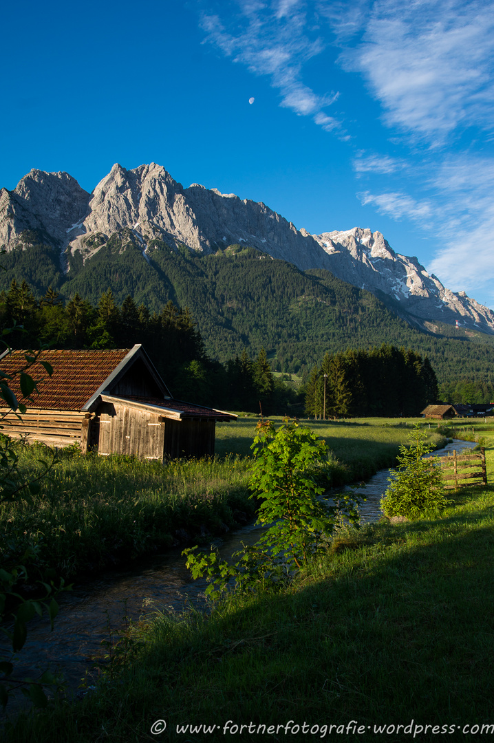 Krepbach Grainau - Juni 2015