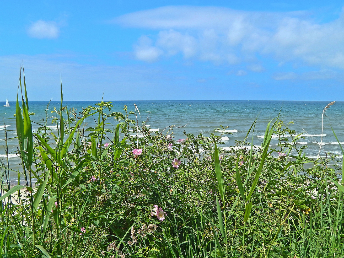 Kreptitz / Rügen