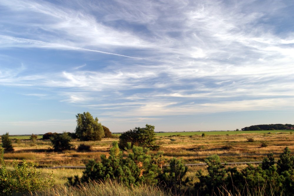 Kreptitzer Heide