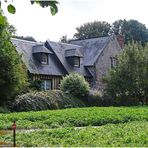 Kresseanbau in Veules-les-Roses