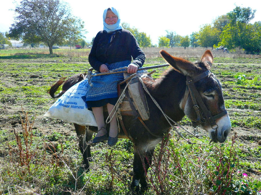 Kreta 7 " LASSITHI HOCHEBENE "