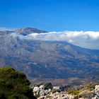 Kreta - Blick auf dem kedros