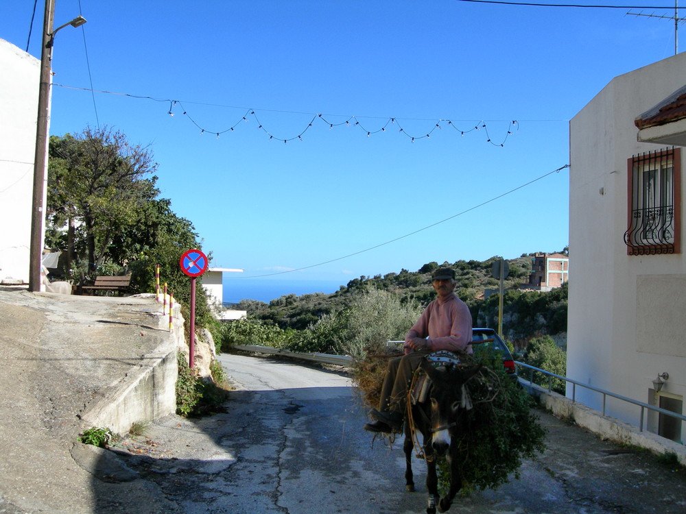Kreta :Esel