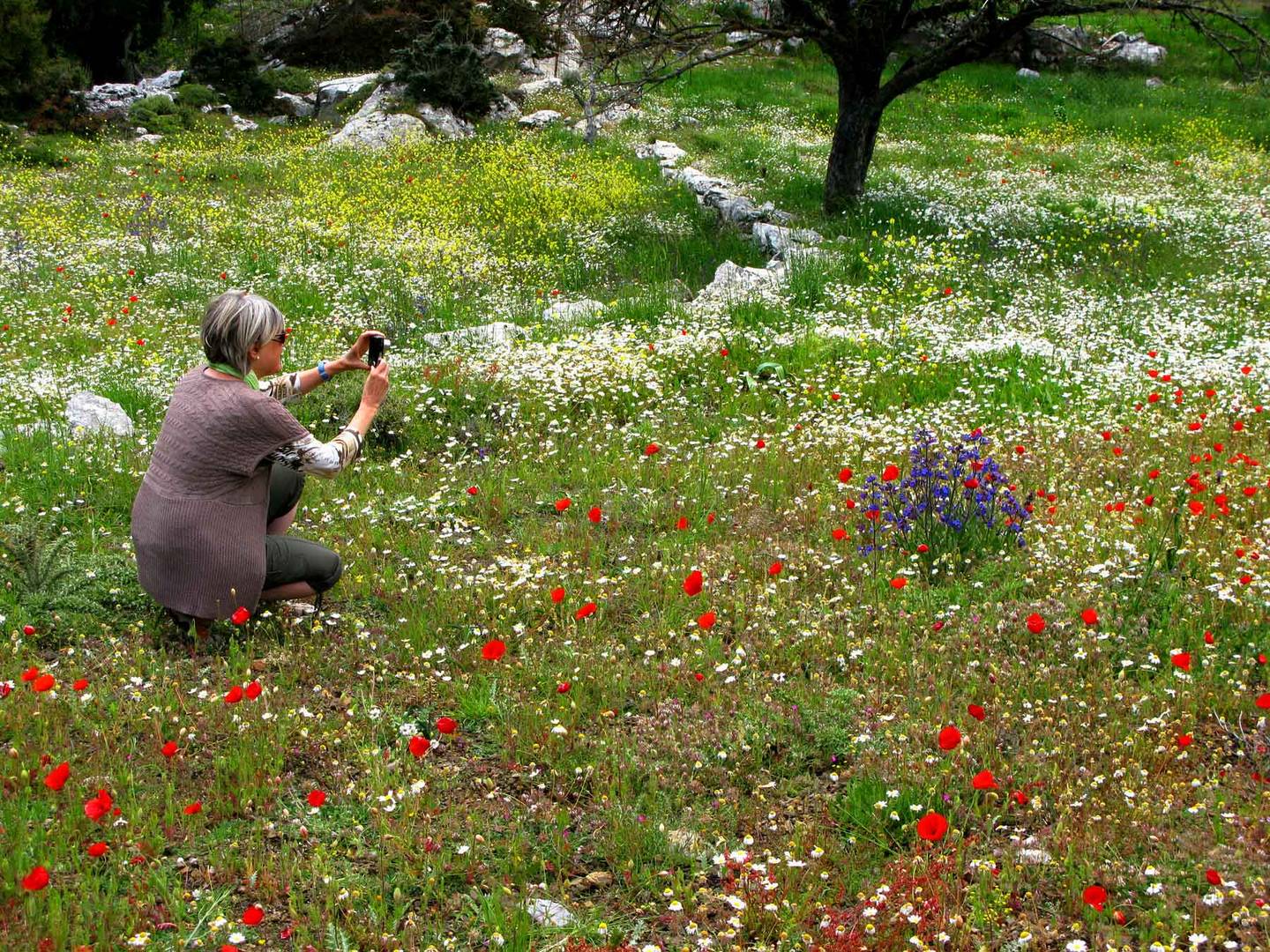 Kreta im April Foto & Bild jahreszeiten, frühling, natur/macro Bilder auf