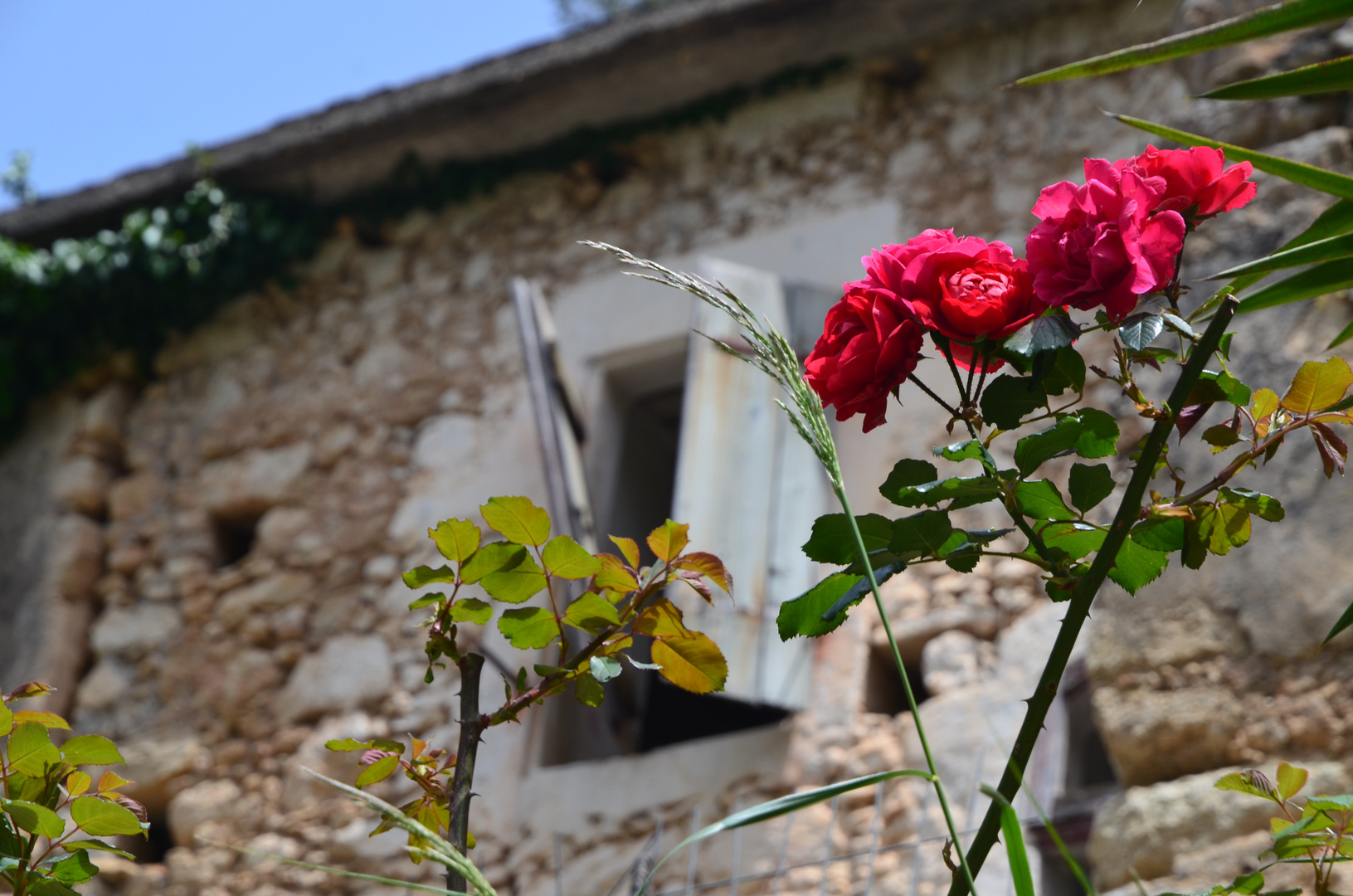 Kreta, Mai 2016, Im Tal der Mühlen