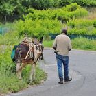 Kretische Impressionen Juni 2023/ 78