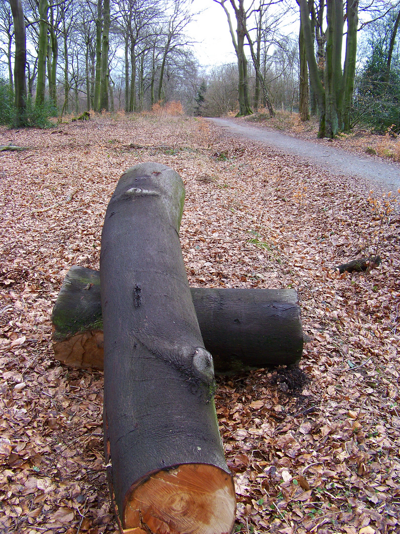 Kreuz auf dem Weg