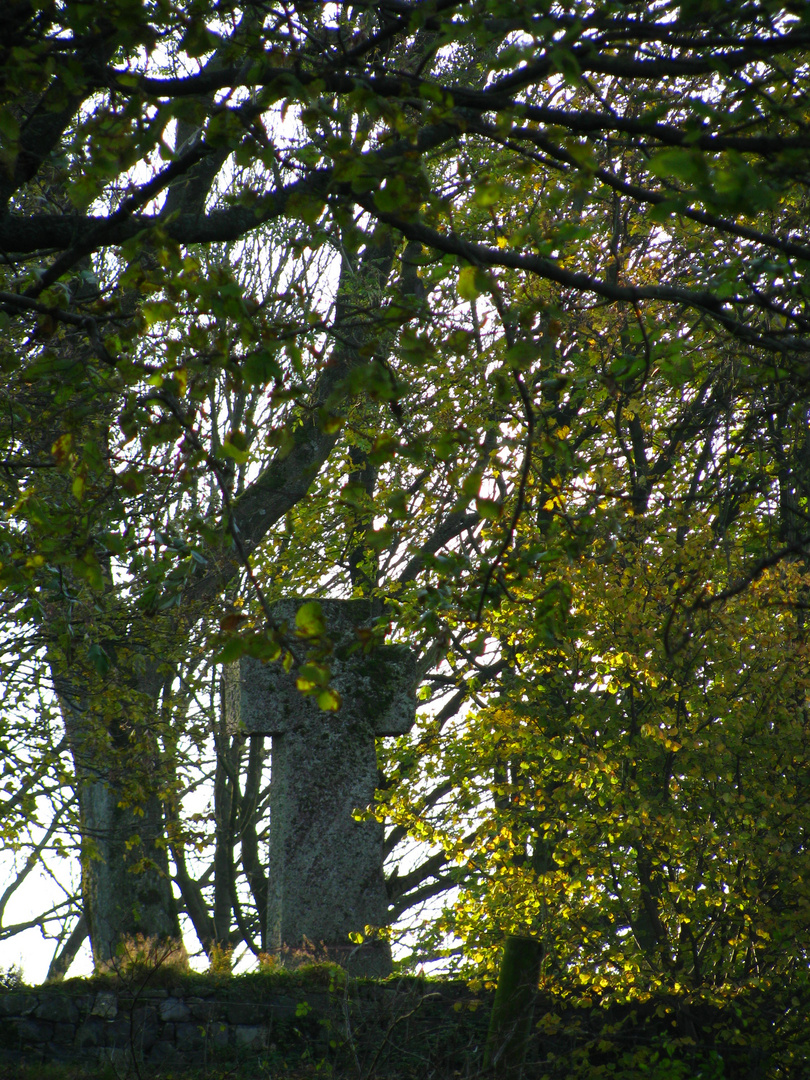 Kreuz im Oktober