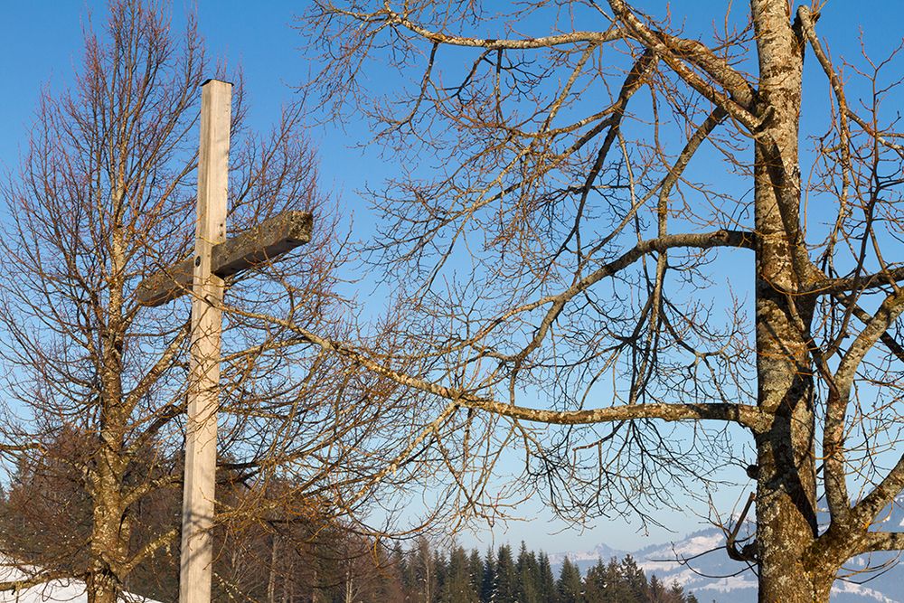 Kreuz mit Bäumen