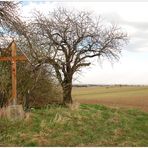 Kreuz und Baum - ohne weißen Container :-)