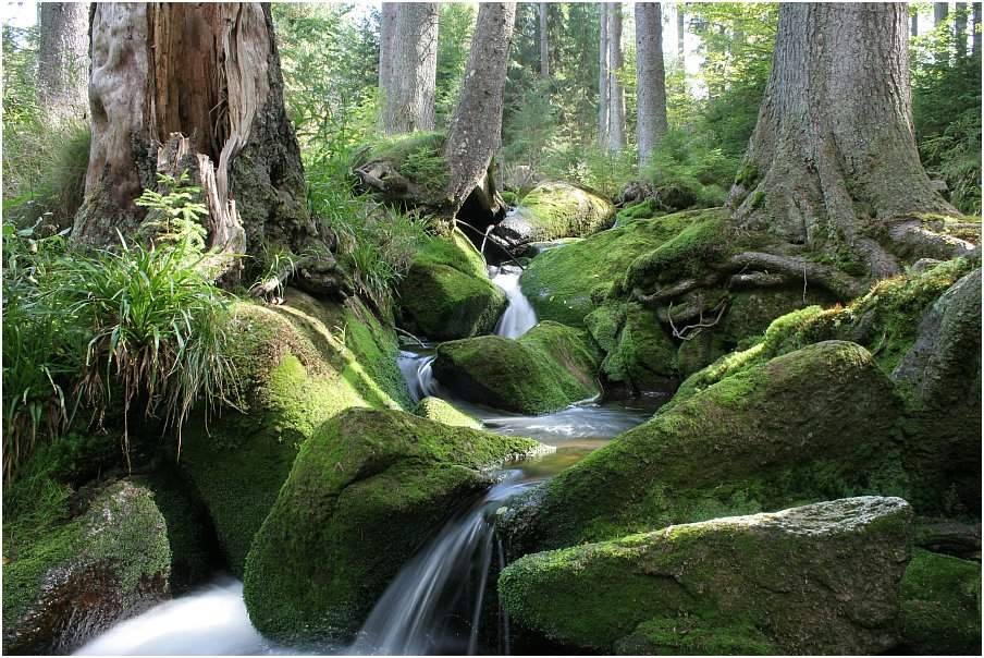 Kreuzbach Wasserfälle am Dreisessel (Haidmühle)