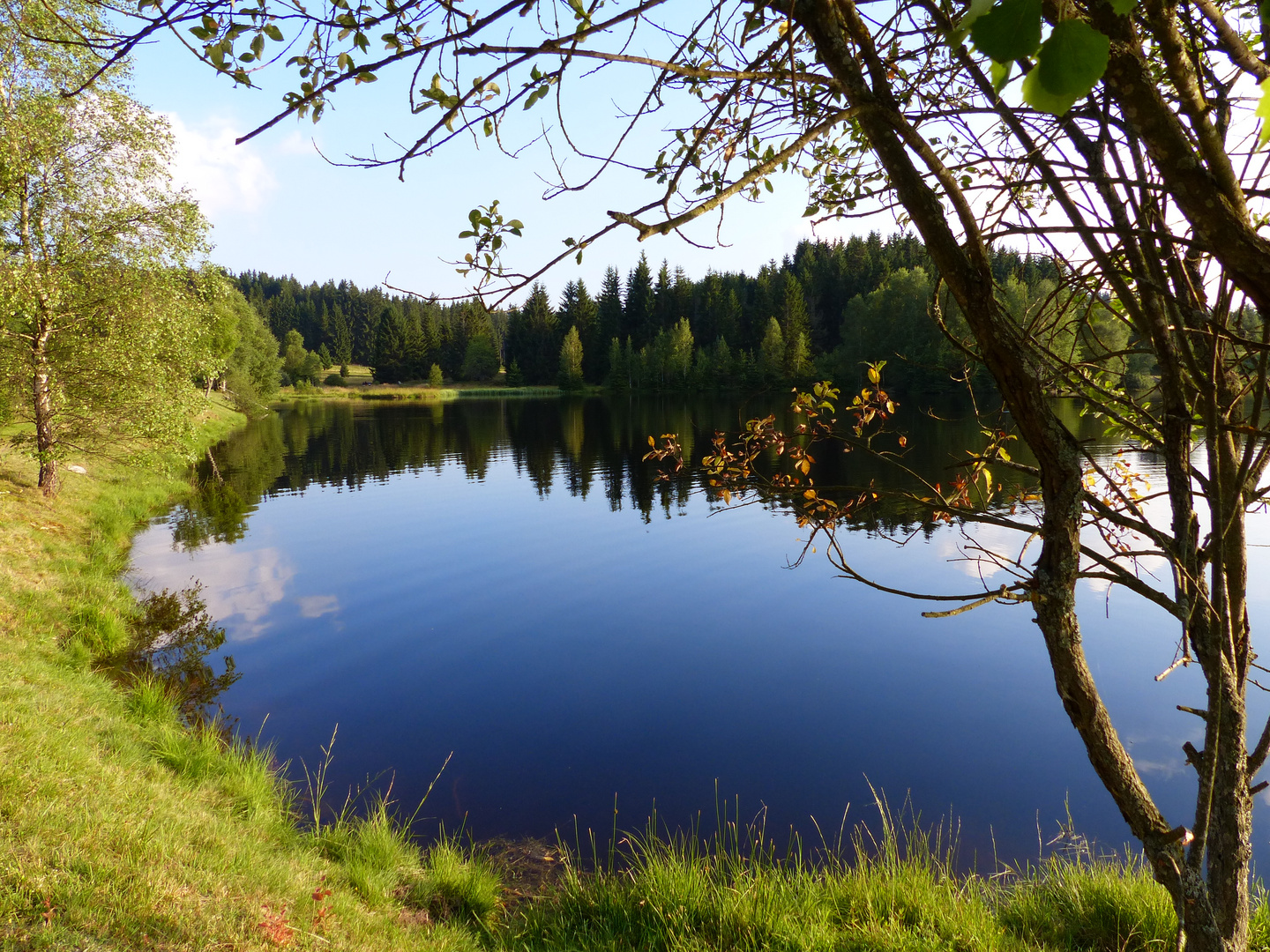 ~ Kreuzbachsee ~