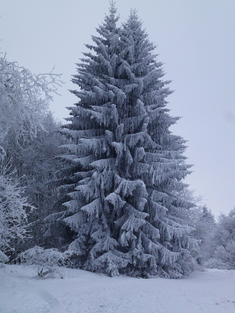 Kreuzberg-Rhön