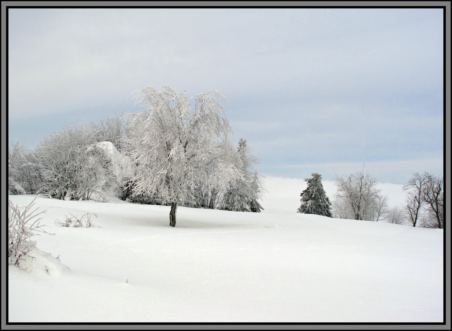 Kreuzberg-Rhön