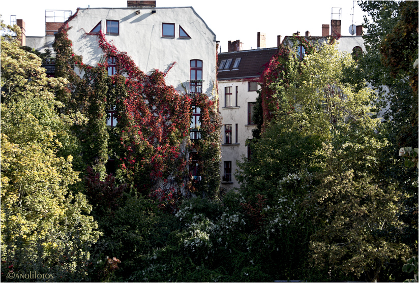 Kreuzberger Wein