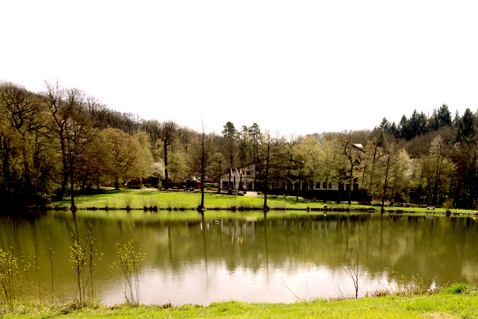 Kreuzbergsee im Frühling