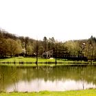 Kreuzbergsee im Frühling