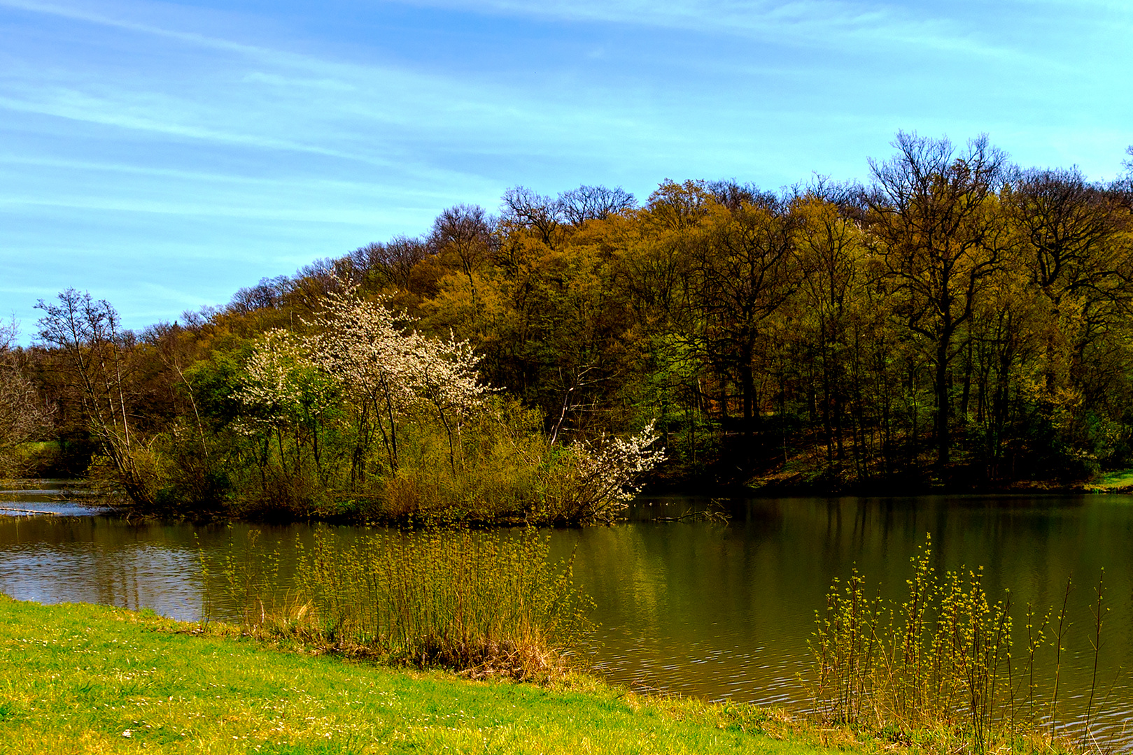 Kreuzbergsee im Frühling