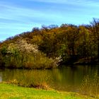 Kreuzbergsee im Frühling