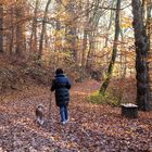 Kreuzbergsee-Rundwanderung