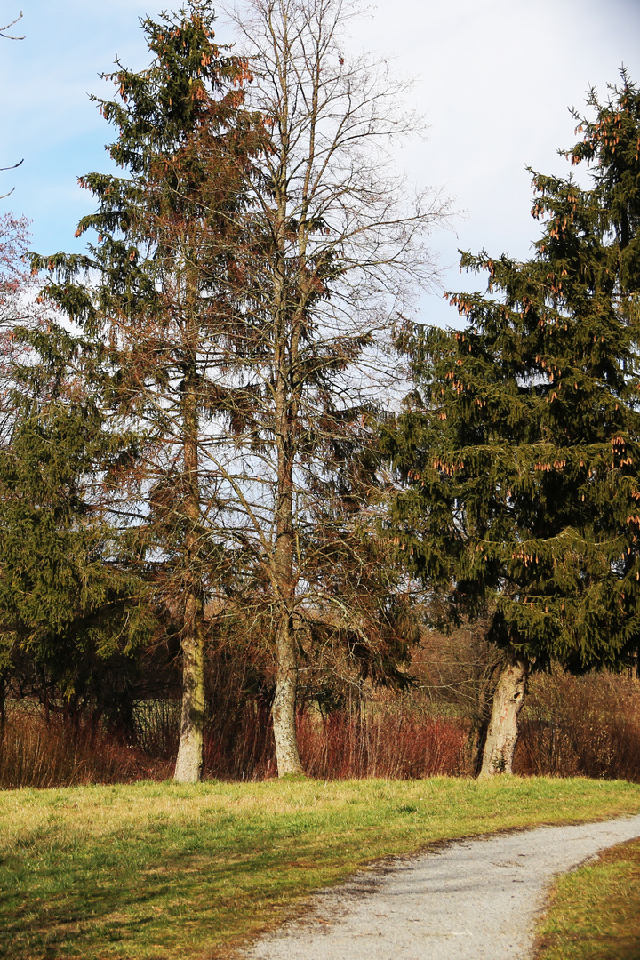 Kreuzbergsee-Rundweg