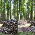 Kreuzblick - Holz