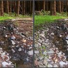 Kreuzblick - Waldweg mit Wasser