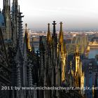 Kreuzblumen und Hohenzollernbrücke01