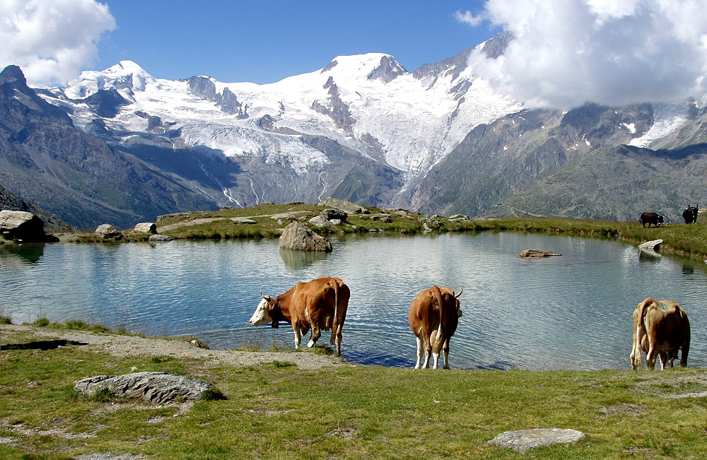 Kreuzboden 2 im Saas-Tal (Wallis)