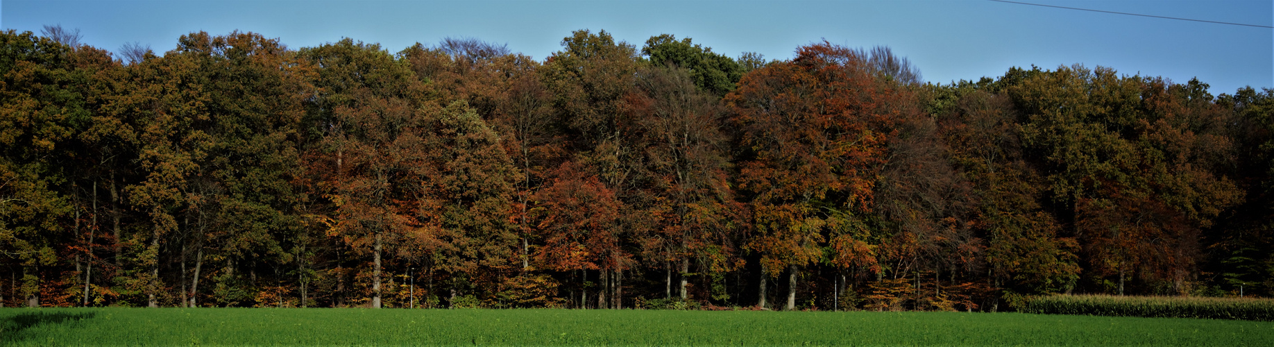 Kreuzbuchen / Ottersberg - Verden (Aller)