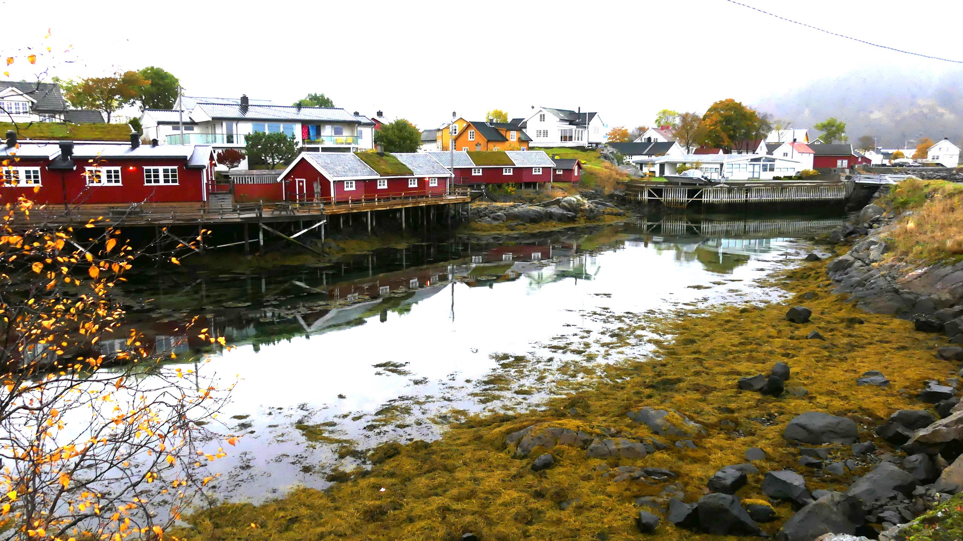 Kreuzfahrt - Norwegen  /  Svolvær ...