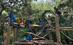 Kreuzfahrt_Kolumbien-Cartagena-Tierpark_am_Hafen_2020