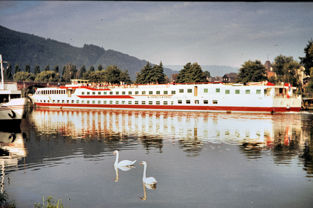 Kreuzfahrtschiff auf dem Main