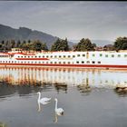 Kreuzfahrtschiff auf dem Main