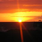 Kreuzfahrtschiff oder Fähre im Abendlicht der Ostsee 2004