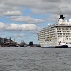 Kreuzfahrtschiff "The World "vor Stockholm