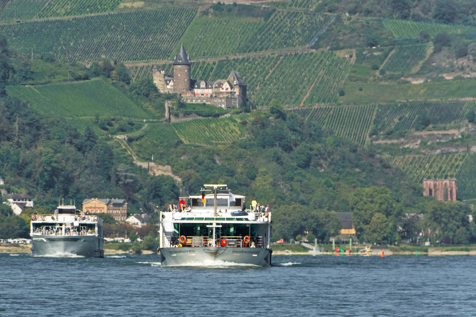 Kreuzfahrtschiffe auf dem Rhein