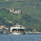 Kreuzfahrtschiffe auf dem Rhein