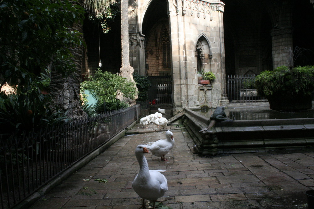 Kreuzgang der Kathedrale von Barcelona