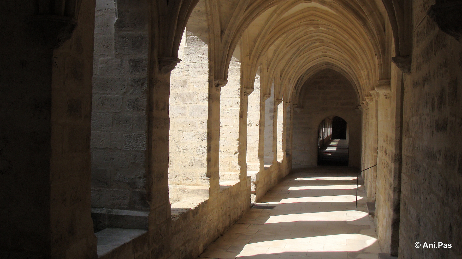 Kreuzgang I, La Chartreuse, Villeneuve-les-Avignon, Provence